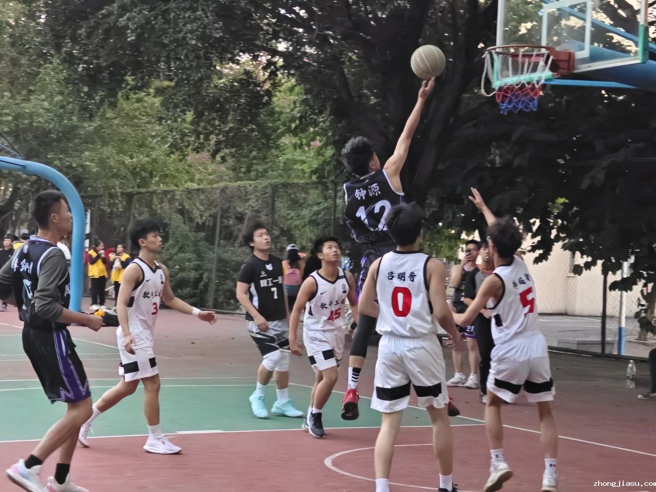 图片 5