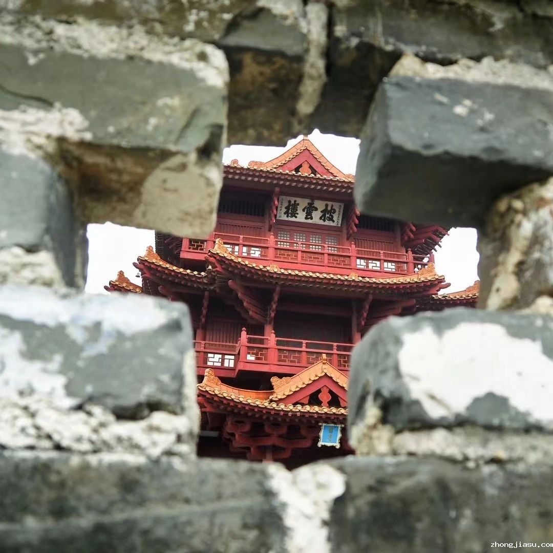 图片 8