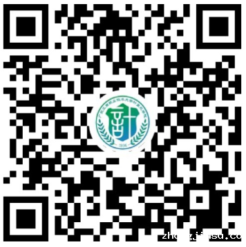 图片 7